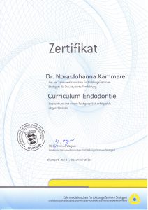 Zertifikat Endodontie Curriculum